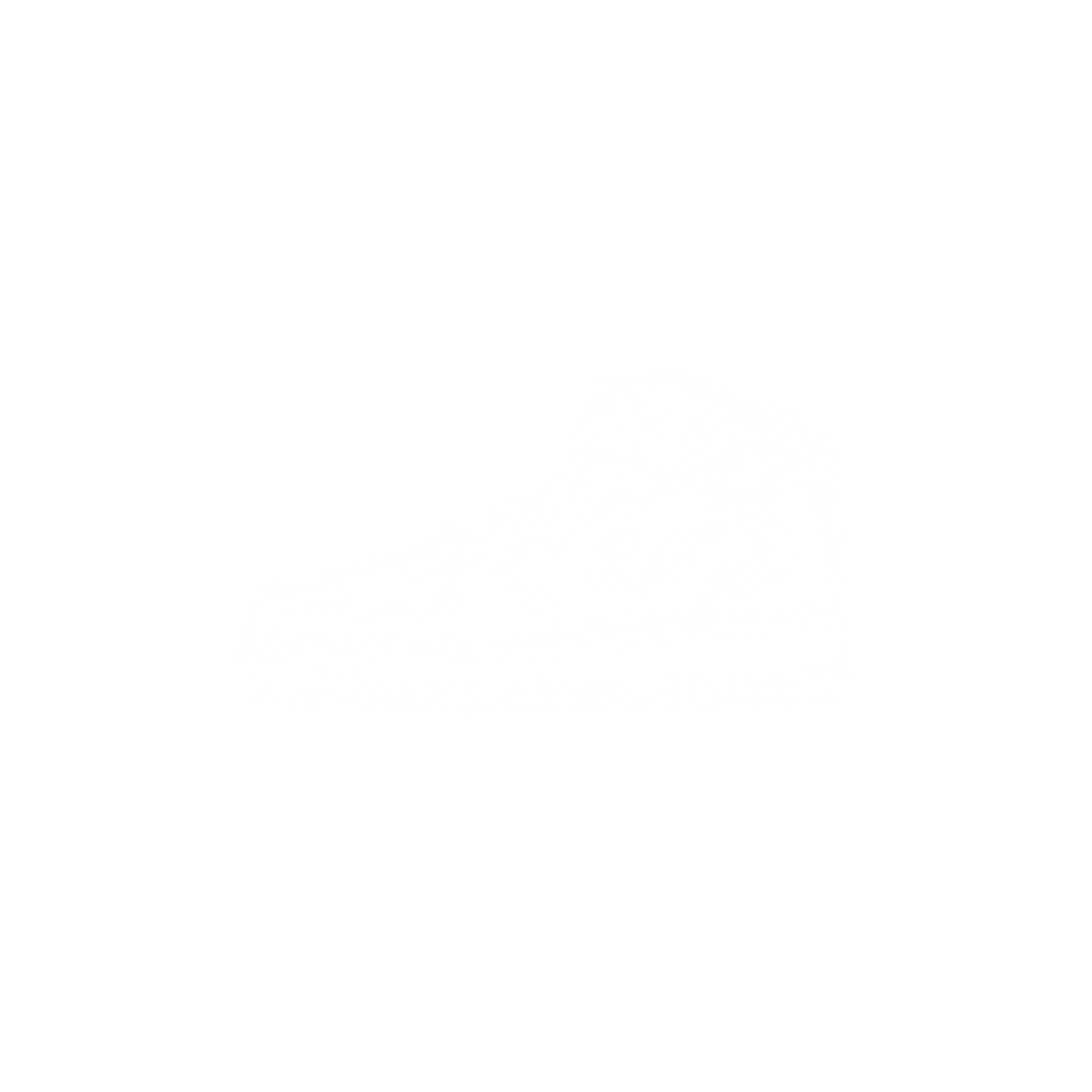 SHOES - 1:1 VENDOR