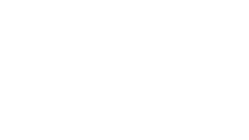 Picasso bags